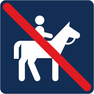 no horse